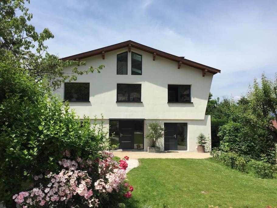 Maison De Vacances 220M2 Vue Lac Et Chateau Menthon-Saint-Bernard Exterior foto