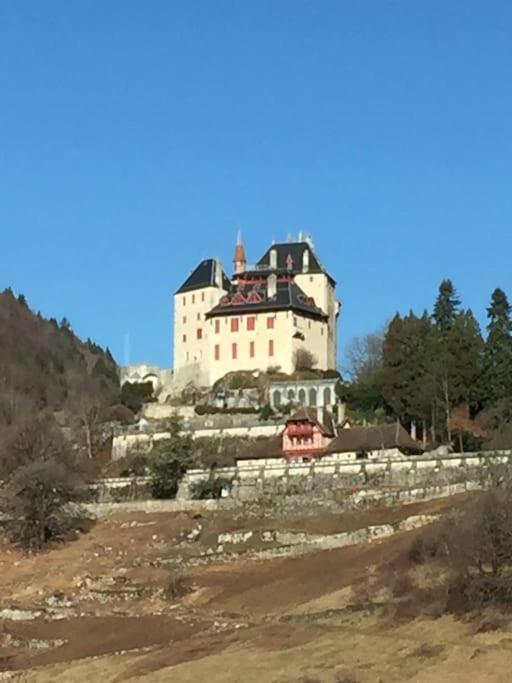 Maison De Vacances 220M2 Vue Lac Et Chateau Menthon-Saint-Bernard Exterior foto